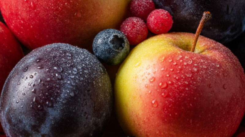 Exklusiv: Neue frostbeständige Sorten aus Lettland | Ankündigung