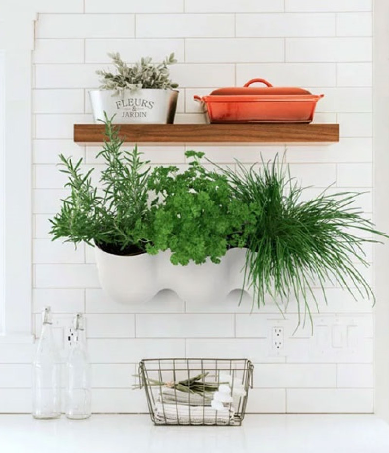 Dreifachtopf ZS3-C02 - Tutifruti SK