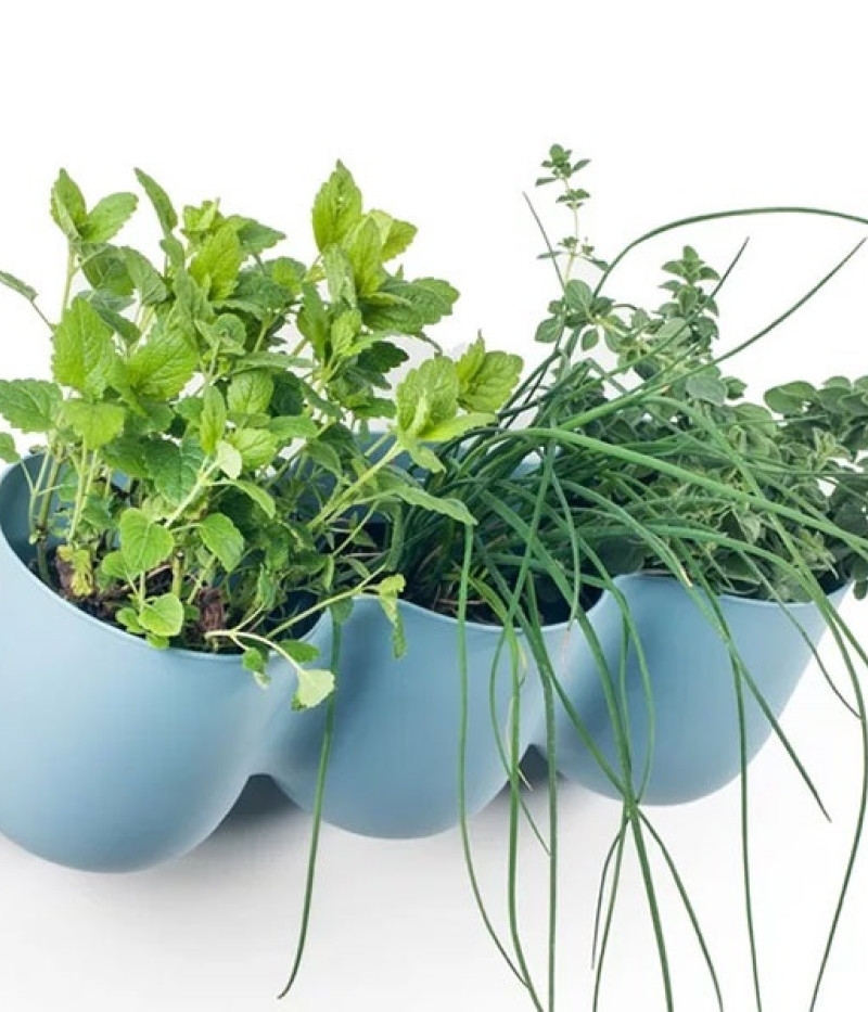 Dreifachtopf ZS3-C02 - Tutifruti SK