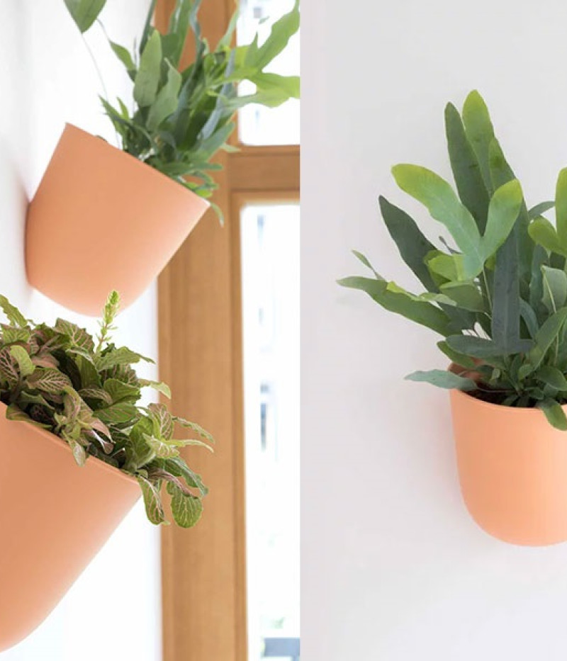 Dreifachtopf ZS3-C02 - Tutifruti SK