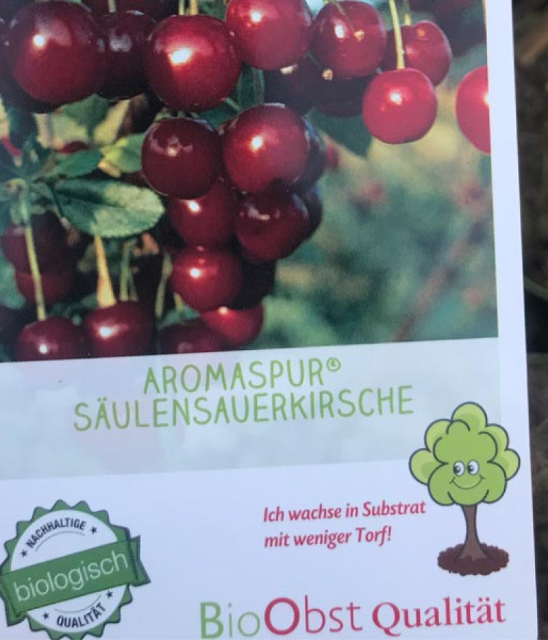 BIO  AROMA SPUR SÄULENSAUERKIRSCHE - Tutifruti SK