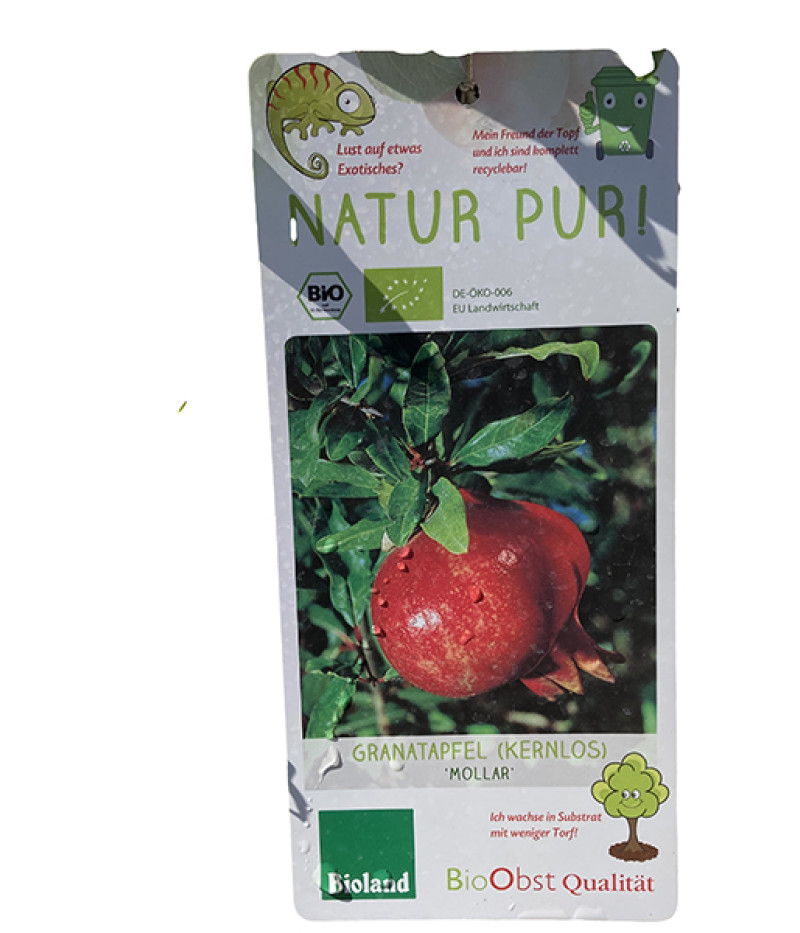 BIO Granatapfel (Punica granatum) MOLLAR - Tutifruti SK