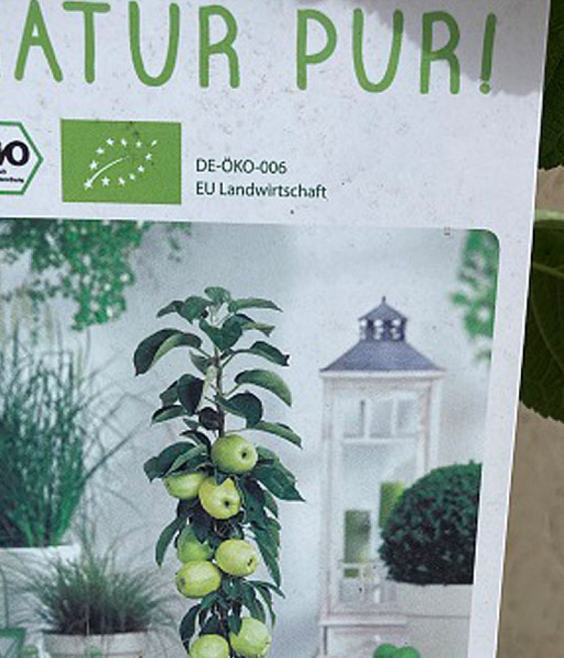 BIO Columnar apple tree AROMA SPUR GOLD-GELB - Tutifruti SK