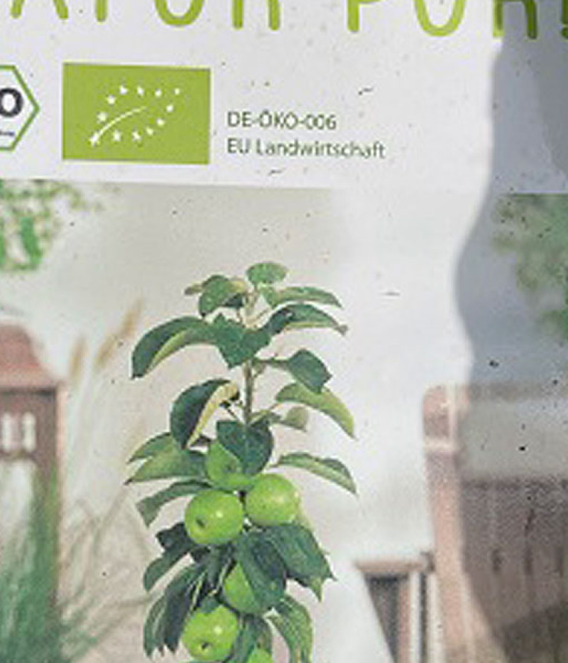 BIO Säulenapfelbaum AROMA SPUR GRUN - Tutifruti SK