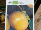 BIO Kaki (Diospyros kaki) FUYU - Tutifruti SK BIO Kaki (Diospyros kaki) FUYU - Tutifruti SK