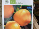 BIO Kaki (Diospyros kaki) ROJO BRILLANTE - Tutifruti SK BIO Kaki (Diospyros kaki) ROJO BRILLANTE - Tutifruti SK