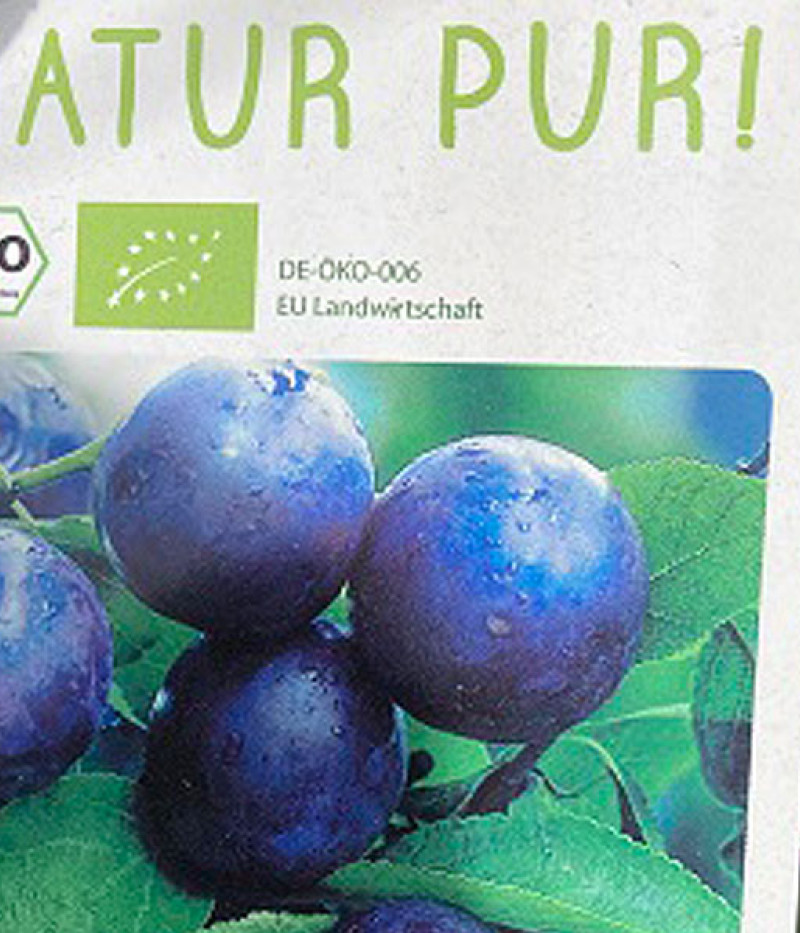 BIO säulenförmige (Prunus domestica) Pflaume AROMA SPUR (spät reifend) - Tutifruti SK