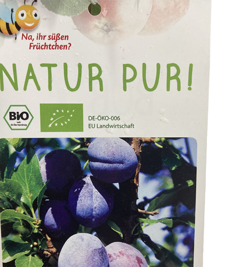 BIO säulenförmige Pflaume AROMA SPUR (früh reifend) - Tutifruti SK