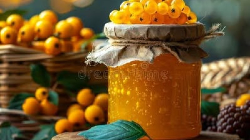 Gold-Johannisbeere (Ribes aureum) und nordische Arten: Botanik & Chemie